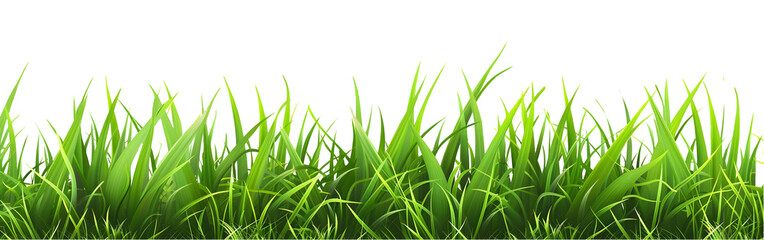 Naklejka premium realistic grass isolated on transparent background,generative ai