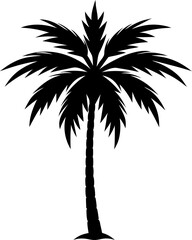 Obraz premium silhouette of a tropical palm tree