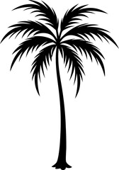 Obraz premium silhouette of a tropical palm tree