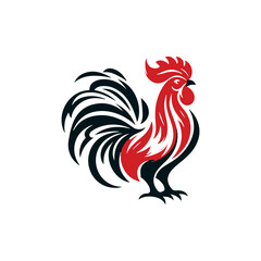 rooster isolated on white background