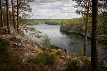 Landscape from Finland in summer