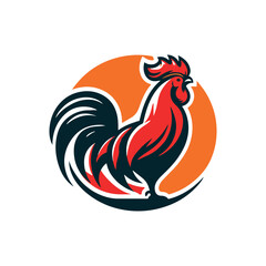 rooster isolated on white background