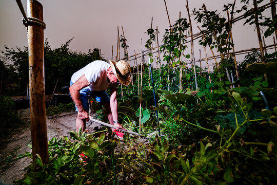 Farmer digging in the garden