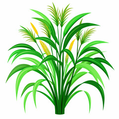 Green Napier grass vector