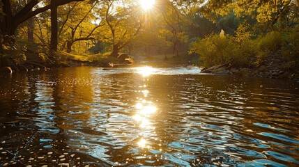 Sun rays reflecting off calm river surface