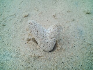 Heart shaped coral stones on beach sand