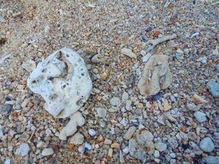 Beautiful sand and coral on the Turun Aban beach of Bangka Belitung Island