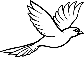 Obraz premium silhouette of a bird in flight