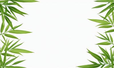 Green bamboo leaves border on white background