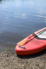 Fototapeta premium Red glanders on the water. recreation and sports on the water.