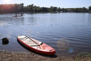 Red glanders on the water. recreation and sports on the water.