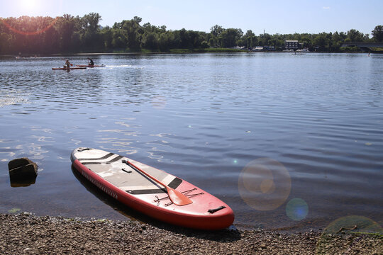 Red glanders on the water. recreation and sports on the water.