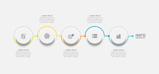 Vector infographics business template design