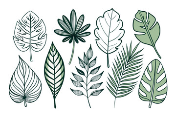 set of different tropical leaves vector illustration