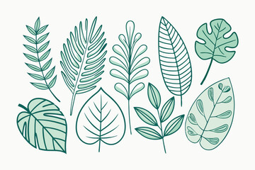 Obraz premium set of different tropical leaves vector illustration
