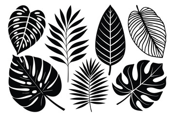 set of different tropical leaves vector illustration