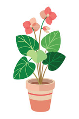 Begonia plant minimal design vector illustration