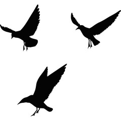 A flock of flying birds, seagulls Flying Silhouettes, group of birds in the sky. Birds at hthe beach. Vector Set Silhouette of a flock of flying birds