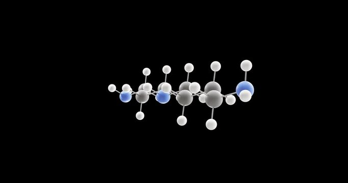 Spermidine molecule, rotating 3D model of aliphatic polyamine, looped video on a black background