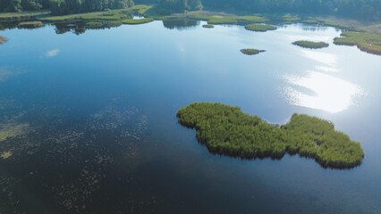 Aerial view of small islands of lush green reeds growing in blue lake water