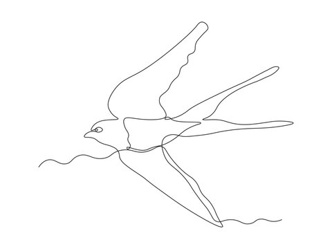recommend clip art: Abstract swallow bird, continuous single line art hand drawing sketch