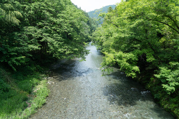 夏の秋川渓谷