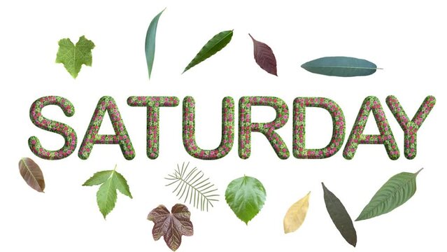 SATURDAY, made from green grass, leaves and flower, with falling leaves, go green concept. white background