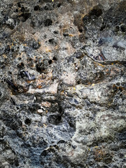 Coastal rocks and sea water as a natural background.