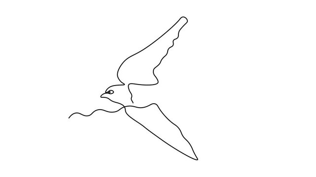 Abstract swallow bird. Self drawing animation one continuous line draw, logo
