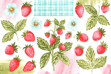 Strawberry watercolor illustration set. Wild strawberry. Summer. Strawberry leaves, flowers, berries. Plants, nature. Bright colors. Illustrations isolated. For printing on stickers, cards, cookbooks