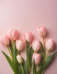 Fototapeta premium Pink Tulips on Pink Background - Beautiful Flowers for Spring - Colored Tullips - Background for Mother's Day, Woman's Day, Valentine's Day or Birthday - Space for Copy or Text