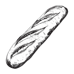 Baguette bread illustration, hand drawn ink drawing of baguette loaf isolated on white background, vector illustrations