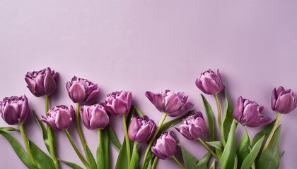 Fototapeta premium Orange Tullips on Orange Background - Beautiful Flowers for Spring - Colored Tullips - Background for Mother's Day, Woman's Day, Valentine's Day or Birthday - Space for Copy or Text