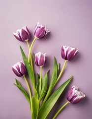 Obraz premium Orange Tullips on Orange Background - Beautiful Flowers for Spring - Colored Tullips - Background for Mother's Day, Woman's Day, Valentine's Day or Birthday - Space for Copy or Text