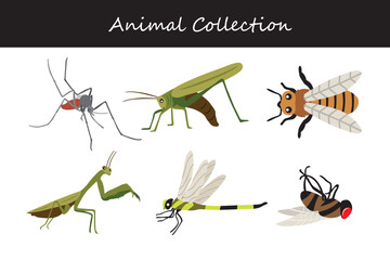 Animals collection. Flat style vector illustration.