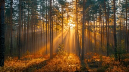 Fototapeta premium Glowing sunset casting warm light on mountains