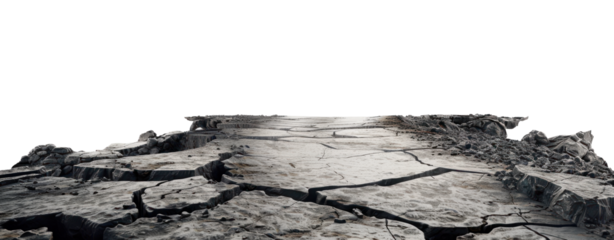 Cracked Earth Surface