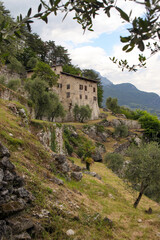 historisches geb&auml;ude am olivenhang