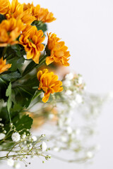 beautiful minimalistic summer bouquet, delicate wildflowers on a white background