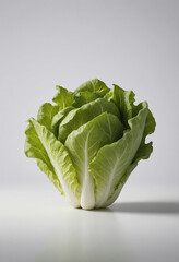 Lettuce, minimalist shot, food photography, clean simple background, advertising shot, volumetric light, white background