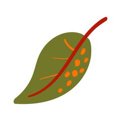 Folk plant. Green leaf with red veins. Autumn botany Minimalistic style. Flat isolated vector