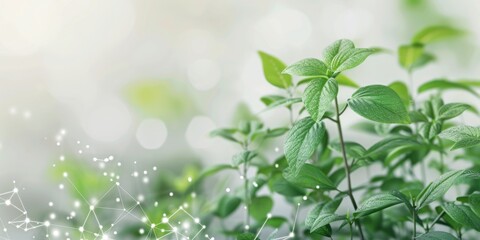 Lush 3D Doodle Green Plants Background with Copy Space for Text | Vibrant Foliage Backdrop Design