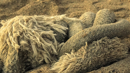 Rope on the Beach