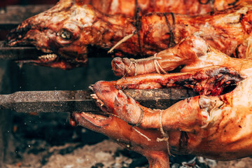 Whole pig spit roasted on traditional festival in Serbia