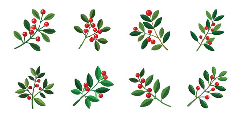 Branches of holly with red berries arranged in different styles. Vector cartoon illustration of Christmas decoration.