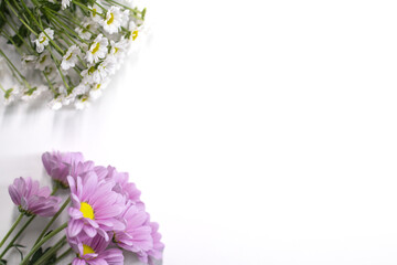 Chrysanthemum and daisies on a white table. Bouquet of flowers. White background