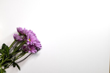 Chrysanthemum on a white table. A bouquet of flowers. Chrysanthemum. White background