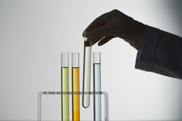 GINSENG IN LABORATORY