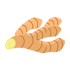 Ginger icon clipart avatar logtotype isolated vector illustration
