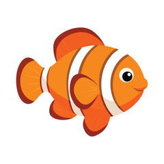 clownfish on white background